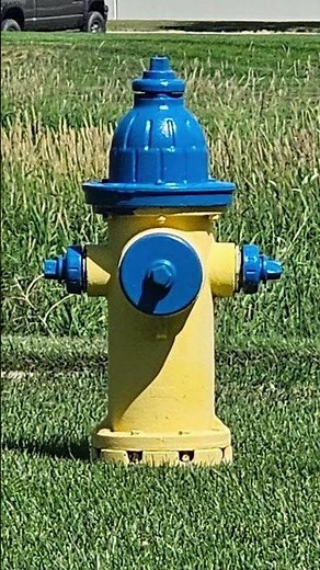 The Secret Code of Fire Hydrants 💦