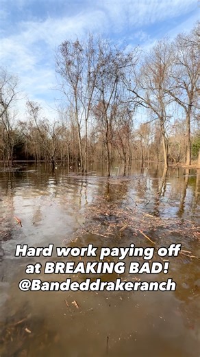 Banded Drake Ranch, LLC | The latest project we just finished up at the start of the season. Had to do some last minute touch up's to raise the levee and whalla!... | Instagram