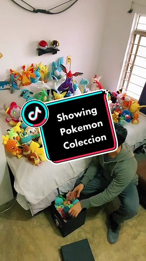 Pokémon Plush Collection and Card Hunting