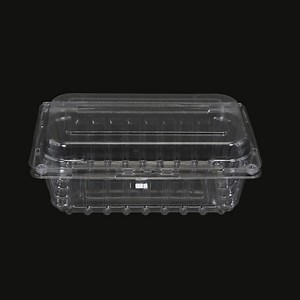 [Hot Item] 2023hot selling custom plastic strawberry clamshell punnet 500g