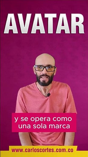 ¿Qué es un avatar?
