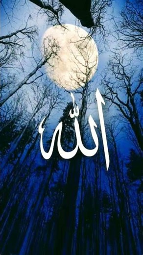 কি ধাক্কা মারতে মন চায় মারেন ধাক্কা কারণ এটা তো আল্লাহর নাম #islam #islamic#শর্টভিডিও #shorts