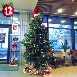 66K views · 468 reactions | For the 12th Angry Birds Holiday Calendar post we decorated a Christmas tree for You :) | Angry Birds | Facebook