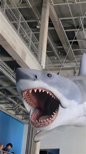 JAWS/BRUCE Model at Academy Museum Of Motion Pictures