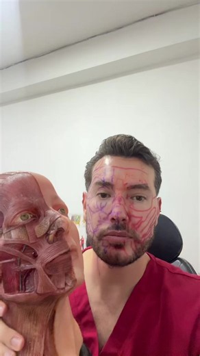 Dónde colocar toxina botulínica en rostro: guía rápida