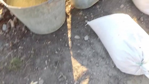 Grain Processing Techniques: A Closer Look