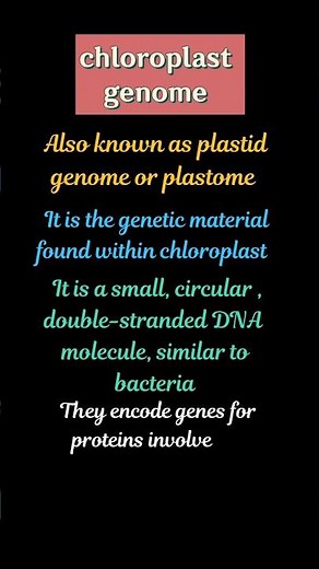 What is chloroplast genome #genome #chloroplastgenome #genetics