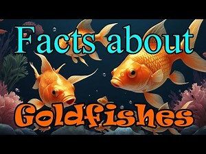 Facts about GOLDFISHES for Kids