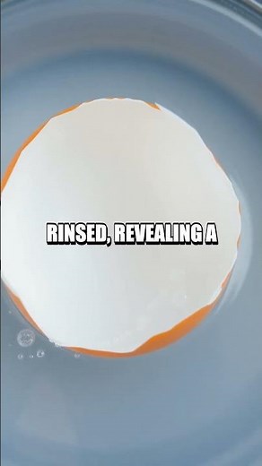 The Bouncing Egg Experiment