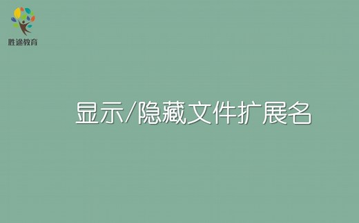 演示+显示或隐藏电脑文件扩展名