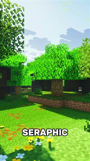 Which One's Best #shorts #mcpeshaders #minecraft #gaming #minecraftshaders