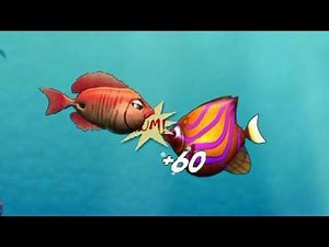 Let's play Feeding Frenzy - Part 1: Andy the Red Angelfish