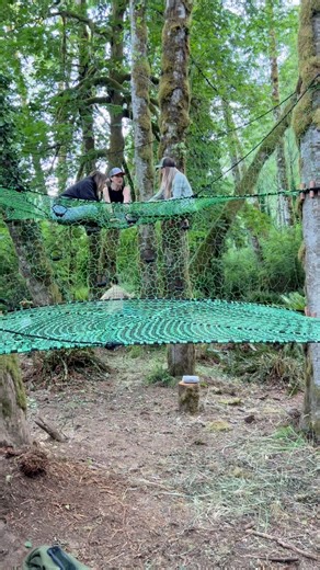 Coolest campsite ever? | TreeNet Willy's