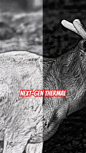 Guide Orion C - Ultra-light clip-on with Apex Vision Teaser