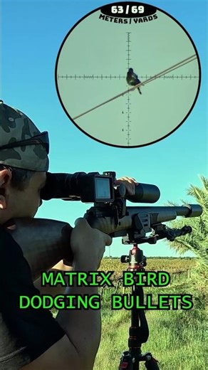 Matrix bird dodging bullets #fxairguns #matrix