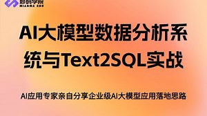 AI大模型数据分析系统与Text2SQL实战