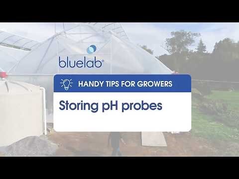 Bluelab Storing pH probes