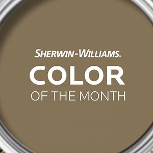 Make a style statement with our April Color of the Month, Verde Marrón SW 9124. 👊 Get inspiration and coordinating colors: https://bit.ly/34WnvB1 | Sherwin-Williams