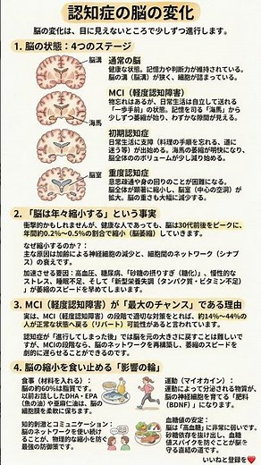 【保存版】認知症を未然に防ぐ「脳の肥料」の作り方｜MCIから正常に戻るための4つの生活習慣