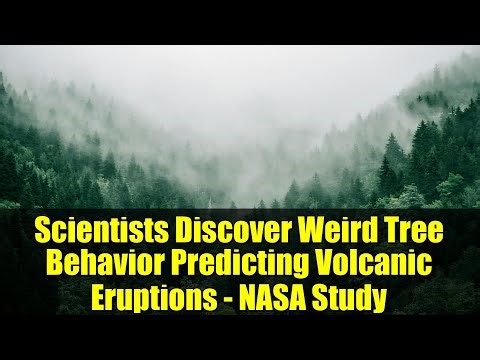 Scientists Discover Weird Tree Behavior Predicting Volcanic Eruptions - NASA Study