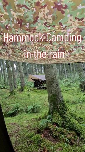 Rainy Hammock Camping in the Woods: A Cozy Outdoor Experience
