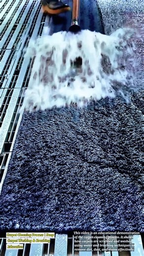 Carpet Cleaning Process | Deep Carpet Washing & Brushing Education