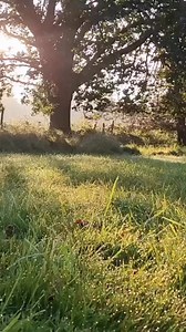 1.7M views · 46K reactions | They mattered ; 懶 #grief #life #loss #love #griefjourney #original #sound #reels #allthethingsjoni | All the Things Joni | Facebook