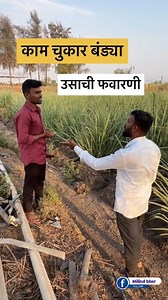 6.5K views · 80 reactions | Only 6 min . . . . . . . . . . . . . #comedy #drone #reels #technology #agri #farmer #farming #spray #pump #tank #machines #engine #droneshots #dronepointofview #dronestagram #dronelife #dronefly #dronepilot | Milind Bhor | Facebook