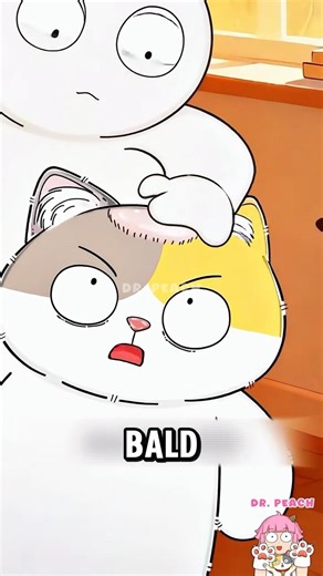 Why Is Your Cat Balding? Feline Stress Science #shorts #cat