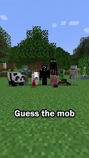 Guess the Minecraft Mob in 60 Seconds! Learn Fun Trivia!
