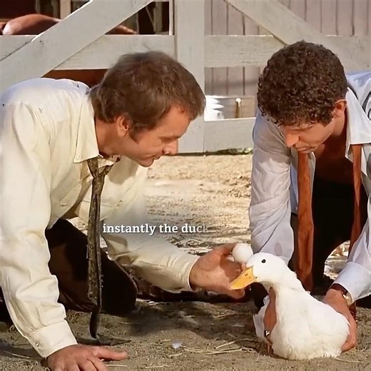 The priceless Duck. #shorts #movie