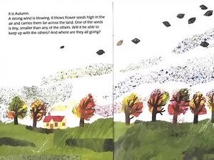 Printable Seed Activities Inspired by The Tiny Seed by Eric Carle - The Educators' Spin On It