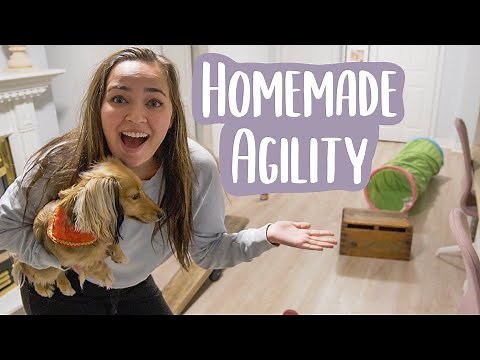 MAKING AN AGILITY COURSE FOR MY DOG WITH HOUSEHOLD ITEMS