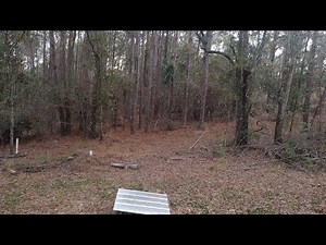 K98 Mauser (Sporterized) First Shot