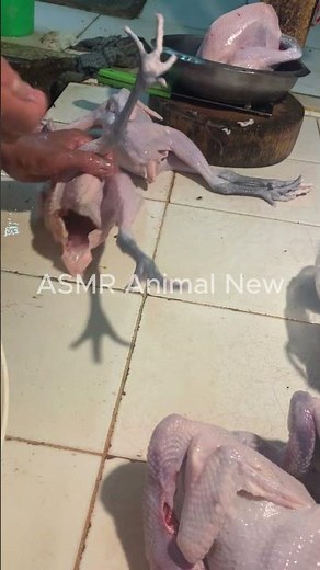 How to Clean Chicken Properly Before Cooking 🐔✨ | #Shorts Part 4