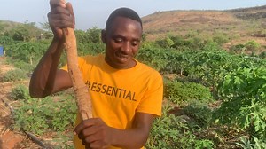 Making organic fertilizer for our crops organically. | Radical Farmer - Organic Farm7