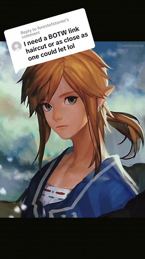 Link Haircut Transformation: Tears of the Kingdom Style