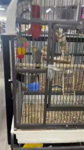 Pet Store Haul Gone WRONG 🐾 #PetSupermarket #Shopping