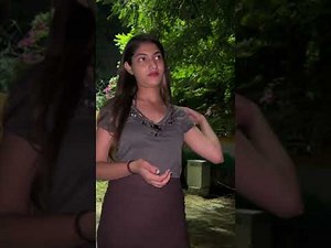 red light area Mumbai।red light area inside 2023