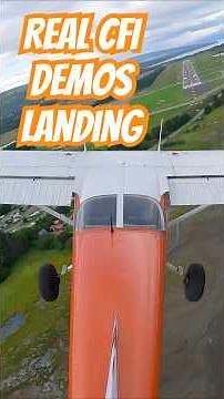 BEST Landing Tips in Real Time #flighttraining #aviation #flying #studentpilot #cfi #ppl
