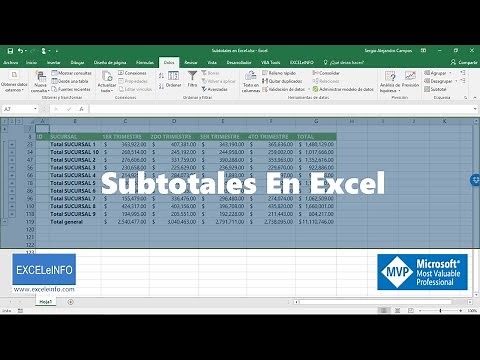 Subtotales en Excel - EXCELeINFO
