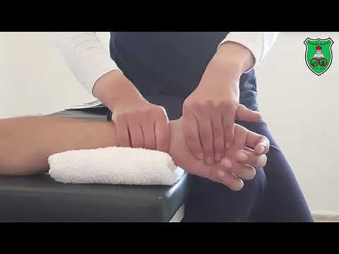 Mobilization- Radiocarpal Ulnar and Radial Glide