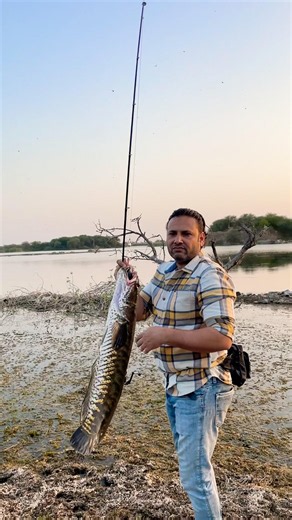Awesome Kabra fishing #zakkfishing #fishing #shorts