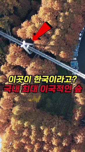 🌳 장태산 자연휴양림 소개 장태산 자연휴양림은 대전 서구에 위치한 국내 유일의 메타세콰이어 숲으로, 마치 외국의 영화 속 한 장면 같은 이국적인 경관과 울창한 숲이 어우러진 특별한 관광명소입니다. 1994년 2월 우리나라 최초의 민간 자연휴양림으로 개장한 이래, 2002년 대전시에서 인수하여 2006년 4월 재개장하며 더욱 많은 사람들의 사랑을 받고 있습니다. 📊 규모와 역사 장태산은 약 6,300여 주의 메타세콰이어가 식재된 국내 최대 규모의 메타세콰이어 숲을 자랑합니다. 1972년부터 독림가 임창봉 선생에 의해 본격적으로 조성되기 시작했으며, 현재 나무들은 높이 약 24m, 가슴 높이 둘레가 약 1m에 달하는 웅장한 크기로 성장했습니다. 메타세콰이어 특유의 청량한 공기와 매끈하고 곧게 뻗은 '꺽다리 나무'들이 하늘을 향해 늘어선 모습은 방문객들에게 신비로운 경관을 선사합니다. 🎢 주요 시설 및 체험 1. 숲체험 스카이웨이: 메타세콰이어 숲 사이를 잇는 12m 높이, 116m