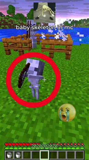 baby skeleton in minecraft 💀