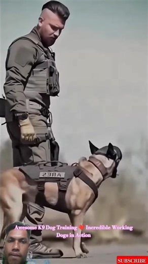 Awesome K9 Dog Training ❤️ Incredible Working Dogs in Action #k9master #malinois #military #k9