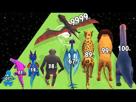 Animal Dom Evolution Run - Level Up Animal Max Level Gameplay