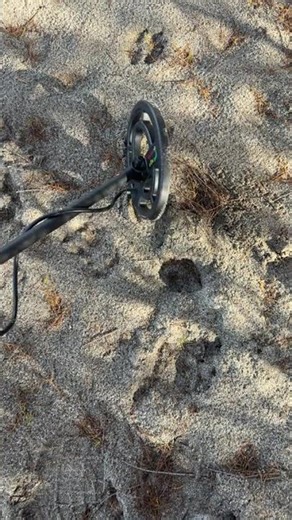 UNBELIEVABLE Beach Find! Found a Lost Keychain & Hidden Treasures! #beachcleanup