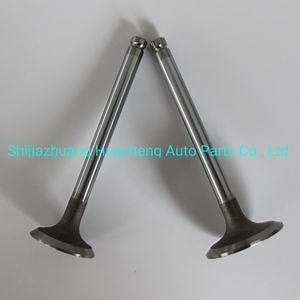 [Hot Item] Tractor Parts Engine Valve for Perkins 1004