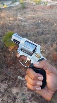 Taurus 856 38 special handgun 🥇